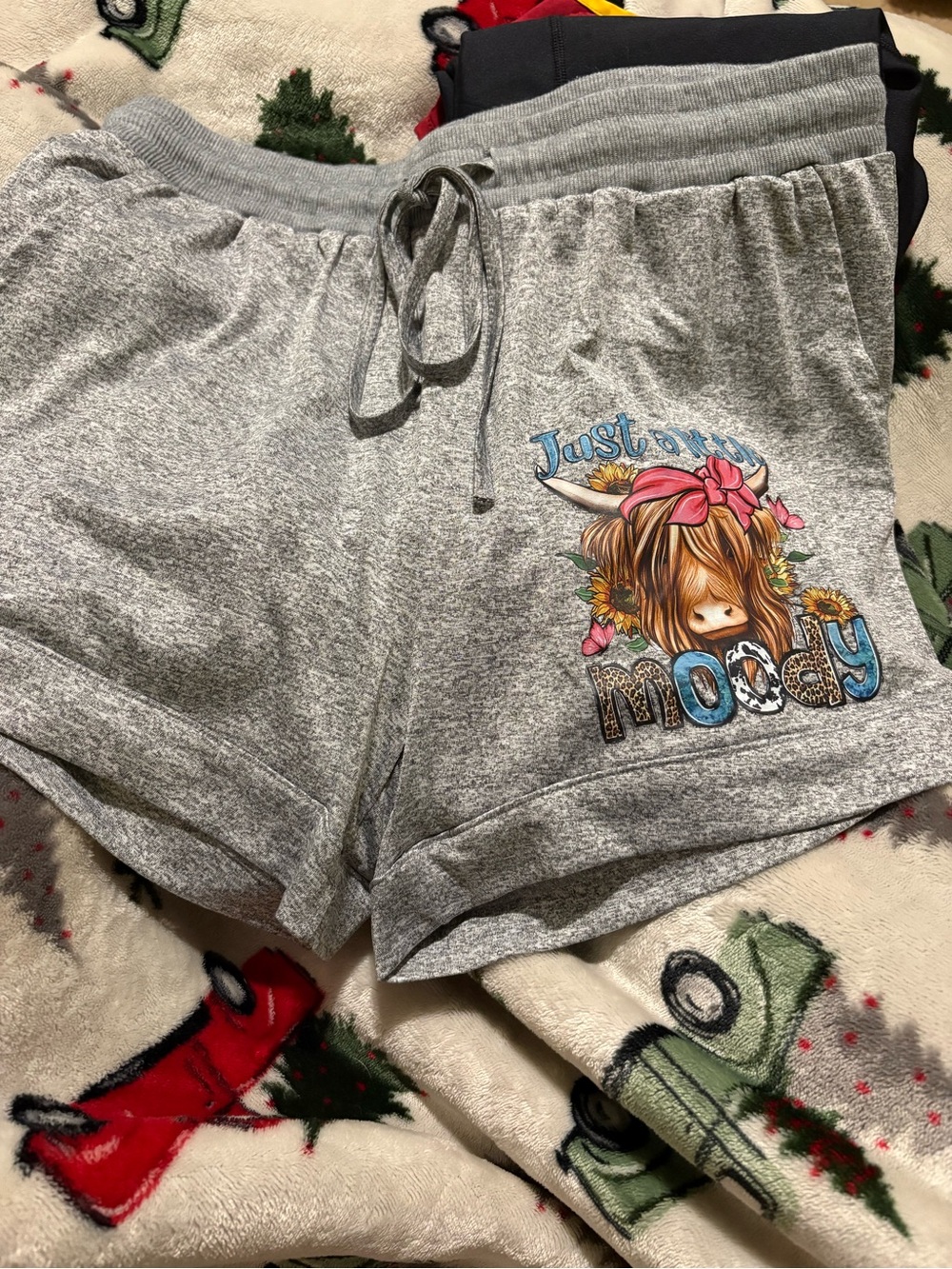 Gray Athletic Shorts with 'Just a Little Moody' Graphic